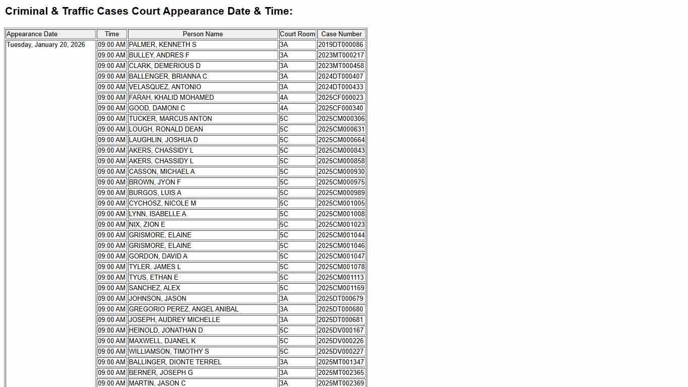 Dockets Criminal & Traffic Cases